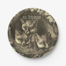 Triplets vintage baby fox woodland shower paper plates