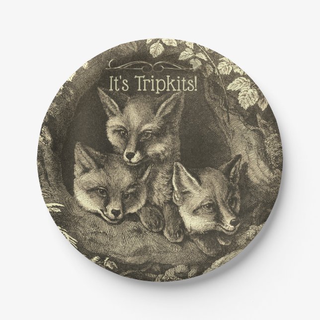 Triplets vintage baby fox woodland shower paper plates (Front)