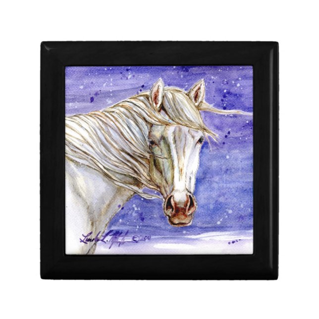 Tripod of Sand Wash Basin HMA Jewelry Box (Front)