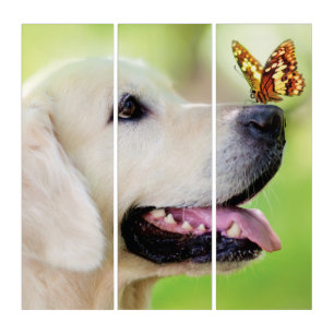 Triptych