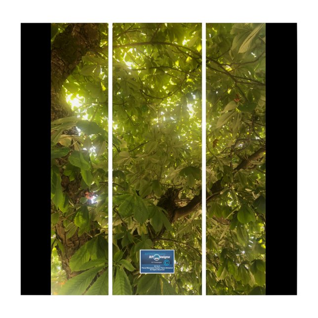 Triptych BL.(Sun Green Tree 1)RFPMDesigns©️2021/24 (Front)