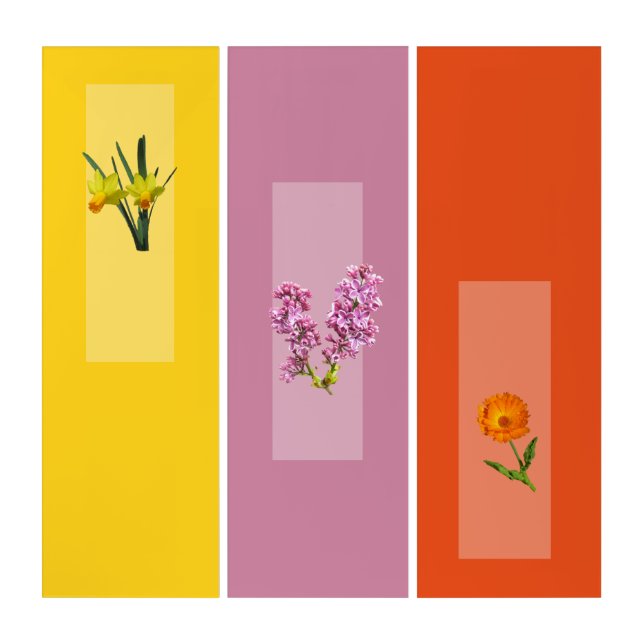 Triptych - Botanical Images (Front)