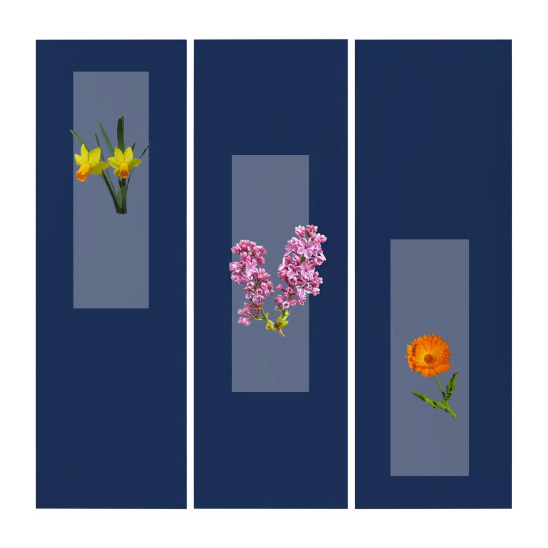 Triptych - Botanical Images on Dark Blue (Front)