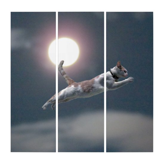 Triptych - Cat Jumping in front of Sun