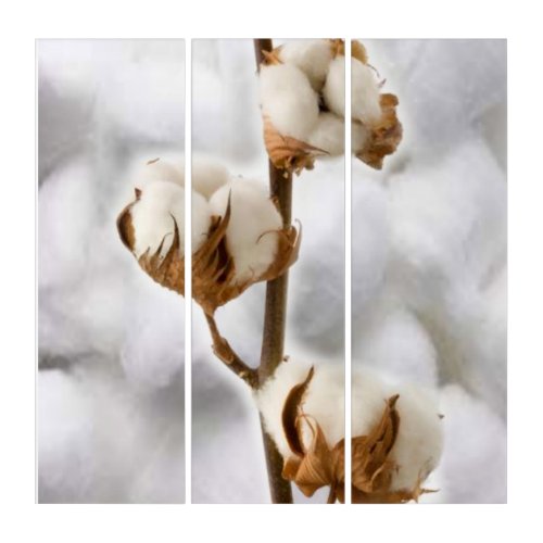 Triptych Cotton