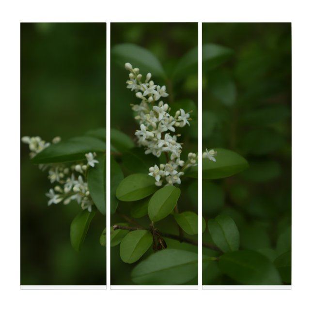 Triptych Floral Photograph (Front)
