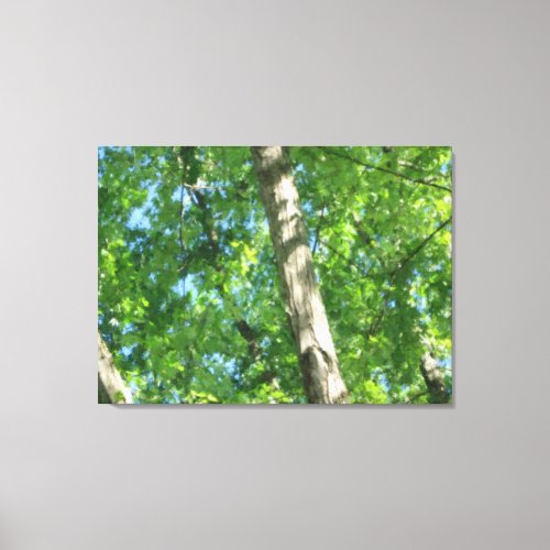 Triptych Forest Canvas Print