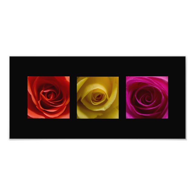 Triptych Roses orange yellow pink Panoramic Photo Print (Front)