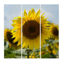 Triptych - Sunflower In The Field