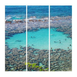 Triptych Wall Art