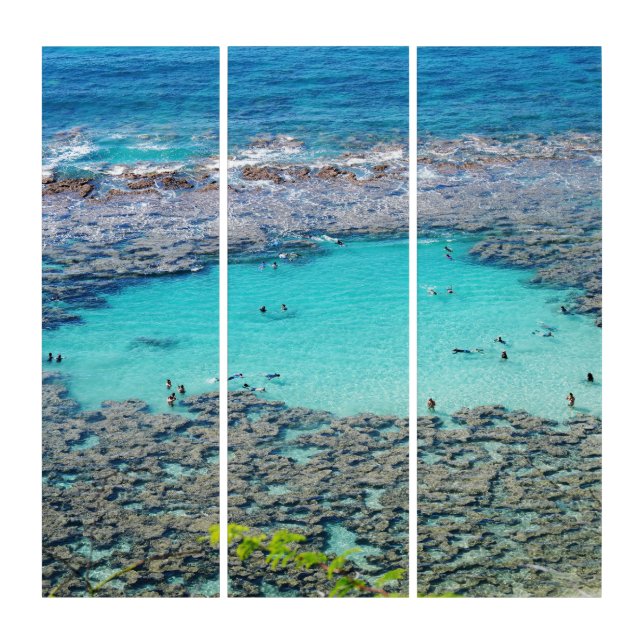 Triptych Wall Art (Front)