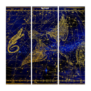 Triptych Wall Art Lizard Constellation