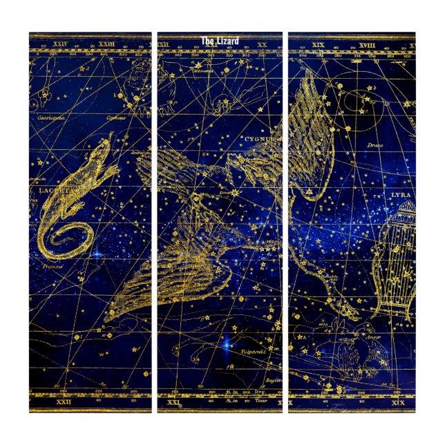 Triptych Wall Art Lizard Constellation (Front)