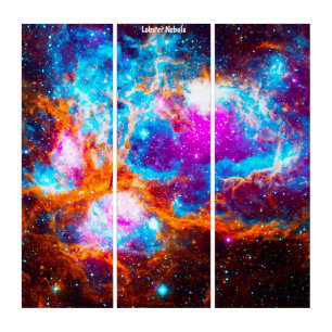 Triptych Wall Art Lobster Nebula