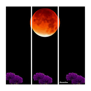 Triptych Wall Art Moonshine