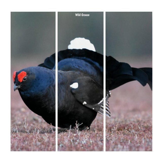 Triptych Wall Art Wild Grouse (Front)