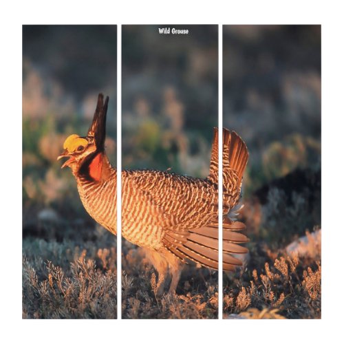 Triptych Wall Art Wild Grouse