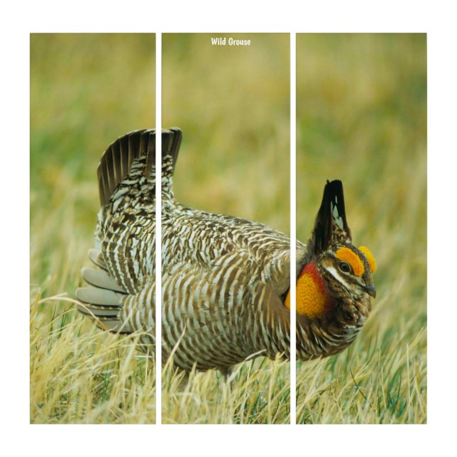 Triptych Wall Art Wild Grouse (Front)