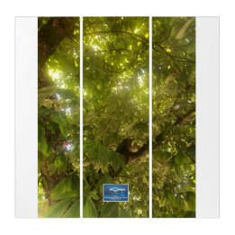 Triptych Wh.(Sun Green Tree 1)RFPMDesigns©️2021/24