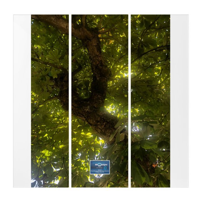 Triptych Wh.(Sun Green Tree 2)RFPMDesigns©️2021/24 (Front)