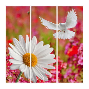 Triptych White Daisy Dove Floral
