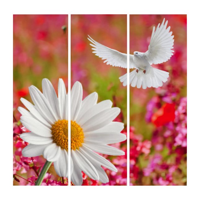 Triptych White Daisy Dove Floral (Front)