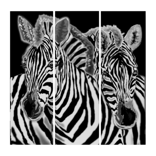 Triptych  with Zebras Couple _ Black White Art