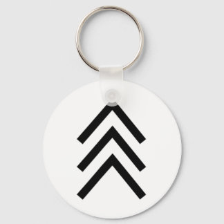 Trisomy 21 Down Syndrome Three Chromosome Arrows 1 Keychain