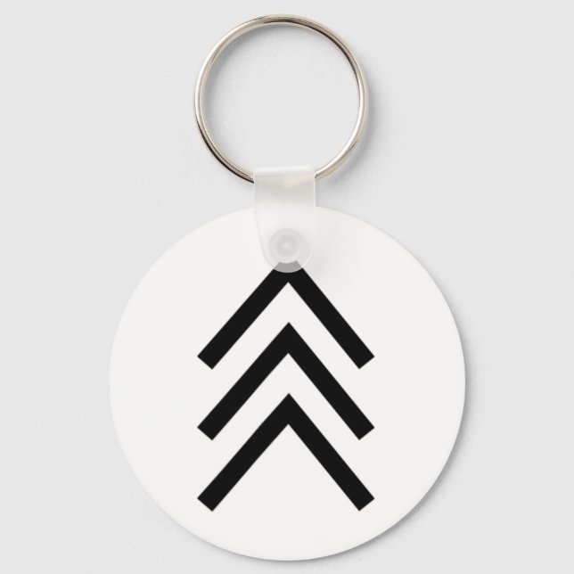 Trisomy 21 Down Syndrome Three Chromosome Arrows 1 Keychain (Front)