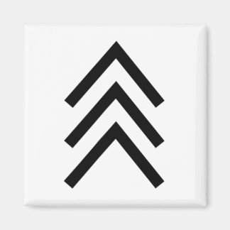 Trisomy 21 Down Syndrome Three Chromosome Arrows 1 Magnet