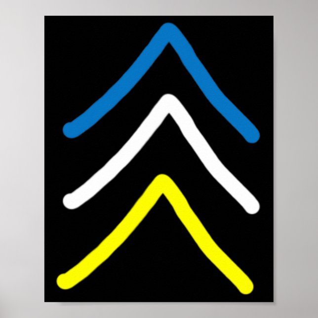 Trisomy 21 Down Syndrome Three Chromosome Arrows  Poster (Front)