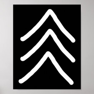 Trisomy 21 Down Syndrome Three Chromosome Arrows Poster