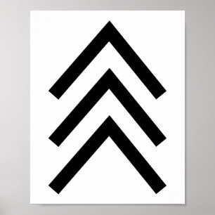 Trisomy 21 Down Syndrome Three Chromosome Arrows Poster