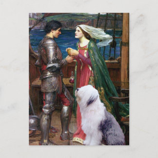 Tristam and Isolde-Old English Sheepdog 1 Postcard