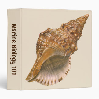 Triton Seashell Shell, Vintage Marine Ocean Animal 3 Ring Binder
