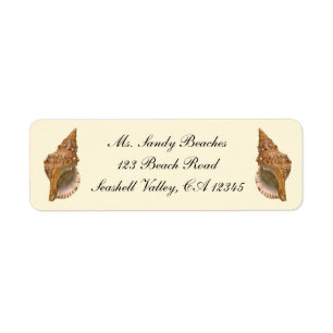 Triton Seashell Shell, Vintage Marine Ocean Animal Label