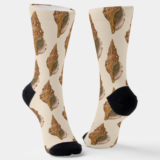 Triton Seashell Shell, Vintage Marine Ocean Animal Socks (Angled)