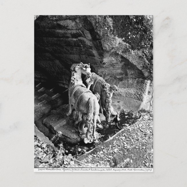 Tritons watering the horses of the sun postcard (Front)