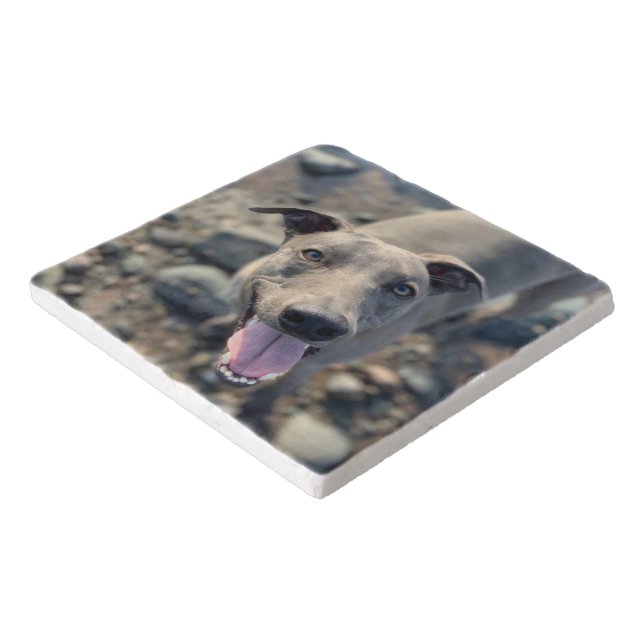 Trivet - Blue Whippett (Corner)