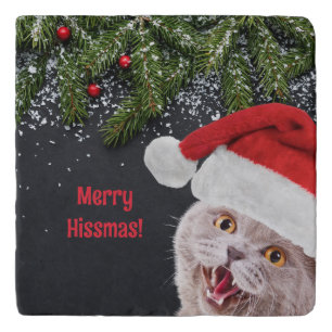 Trivet, Merry Hissmas  Trivet