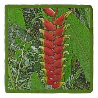 Trivet TROPICAL RED AND YELLOW HELICONIA PLANT