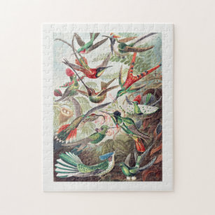 Trochilidae–Kolibris Hummingbird Jigsaw Puzzle