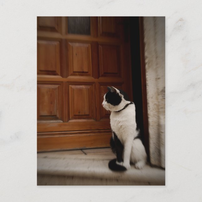 Trogir 16 postcard (Front)