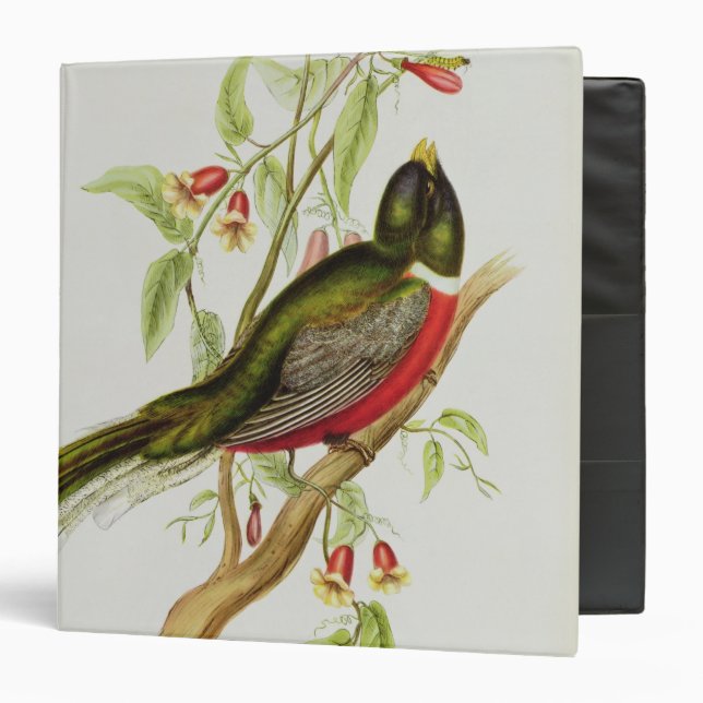 Trogon Ambiguus Binder (Front/Inside)