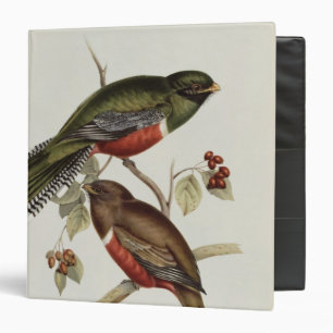 Trogon Collaris Binder
