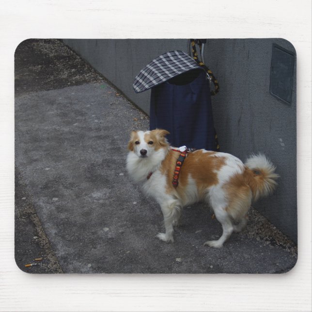 Trolley guard mouse pad (Front)