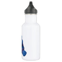 Water Bottle 12 oz Trolls