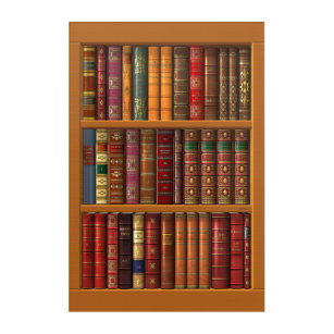 Trompe l'oeil of a library of classical books acrylic print