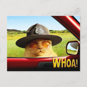 Trooper Cat Invitation Postcard