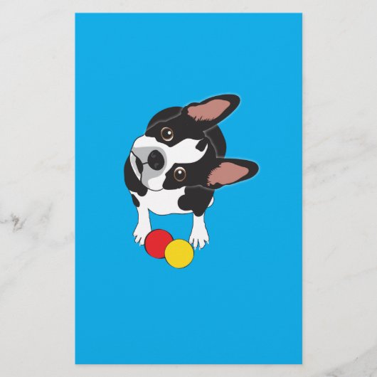Trooper the Boston Terrier (Front)